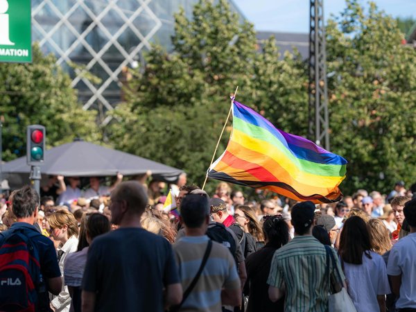 Choisir le bon produit anti-nuisible : stratégies contre rongeurs et insectes
